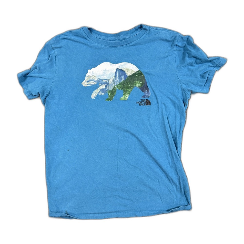 The North Face Mens Blue Bear Mountain Graphic T-Shirt Size Medium Yosemite M
